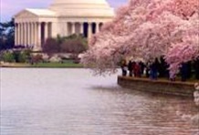 Arlington & War Memorial with DC After Dark Tour